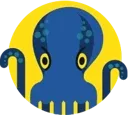 JetOctopus logo